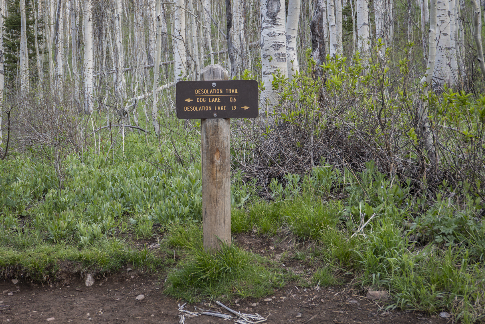 Big Cottonwood Canyon