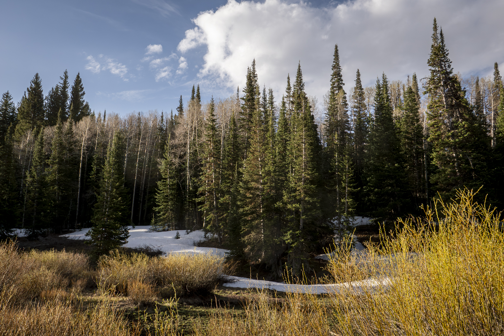 Big Cottonwood Canyon