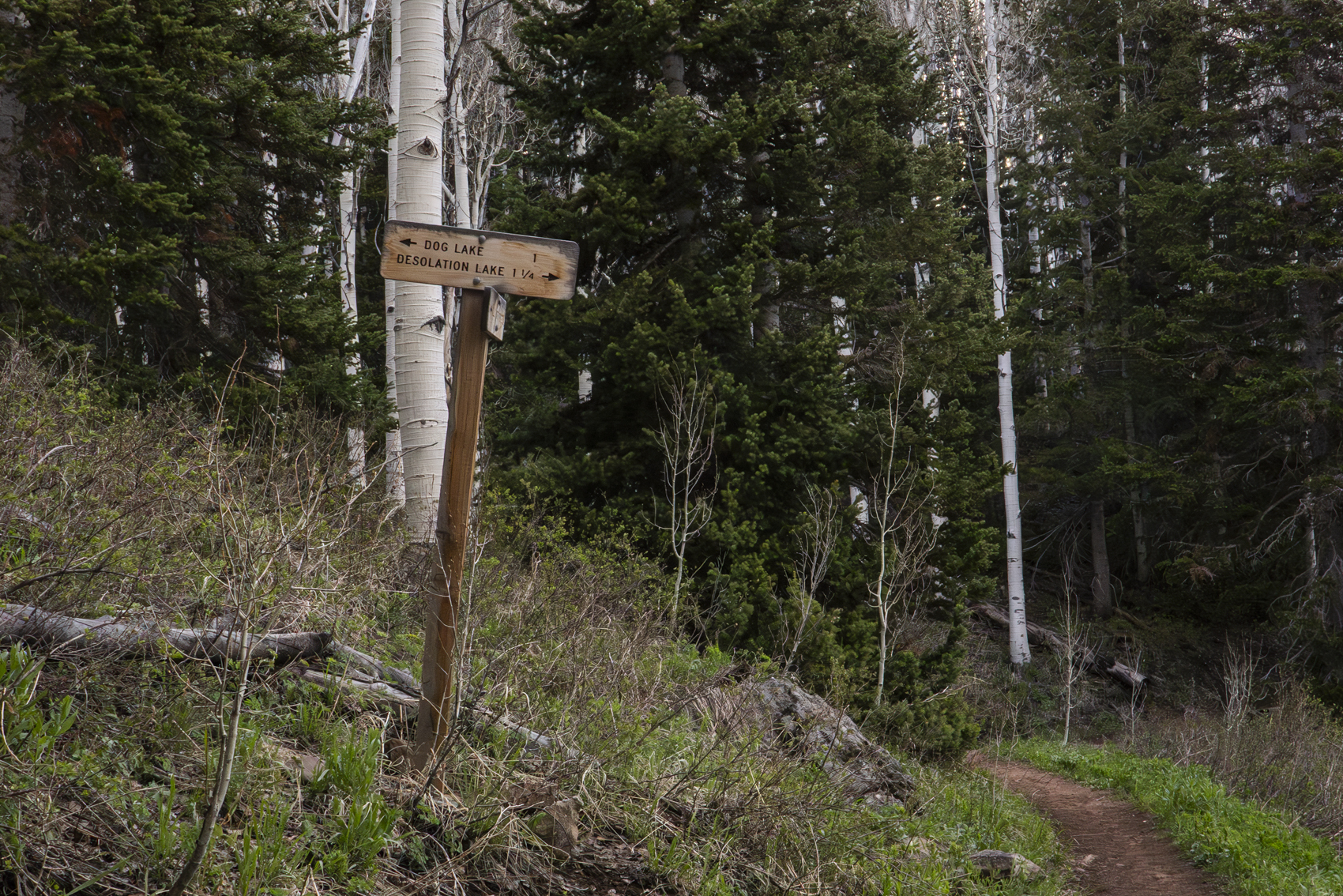 Big Cottonwood Canyon