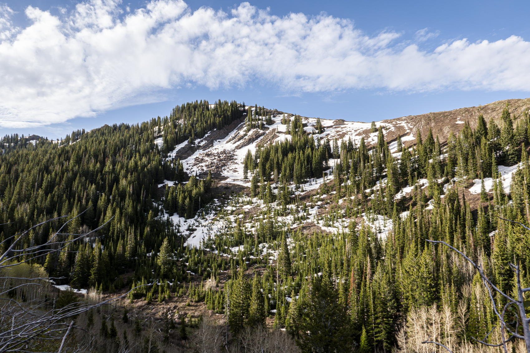Big Cottonwood Canyon