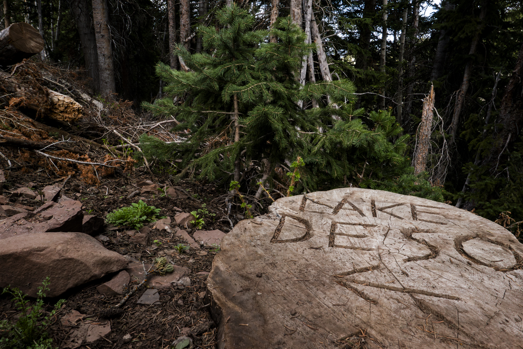 Big Cottonwood Canyon