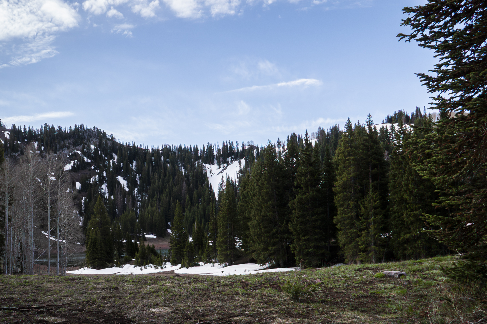 Big Cottonwood Canyon