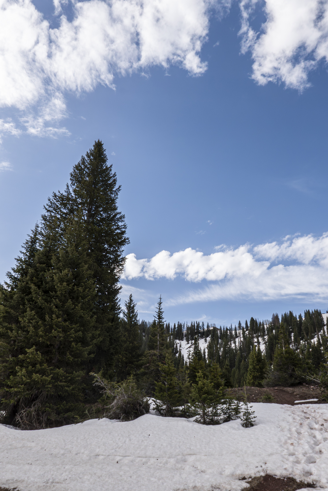 Big Cottonwood Canyon