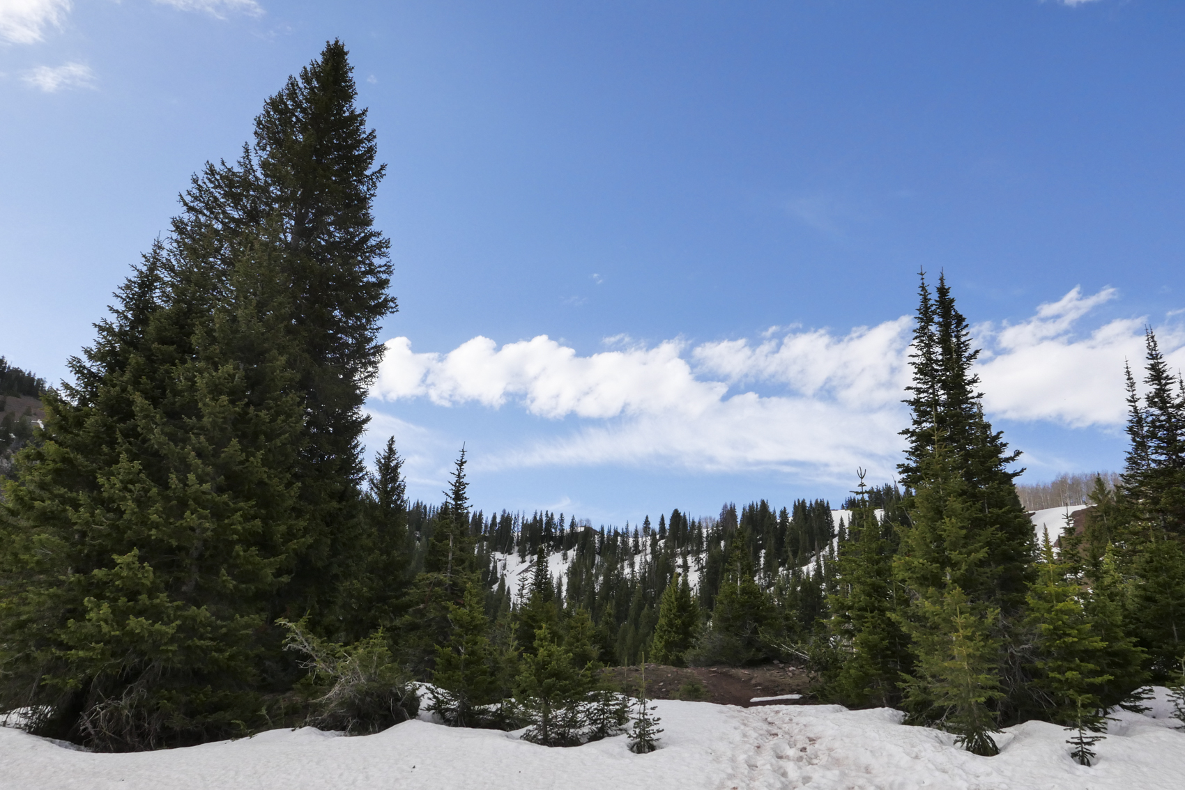 Big Cottonwood Canyon