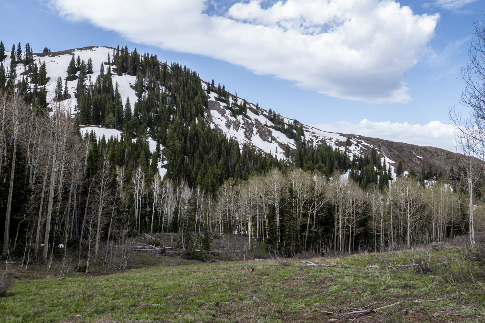 Big Cottonwood Canyon