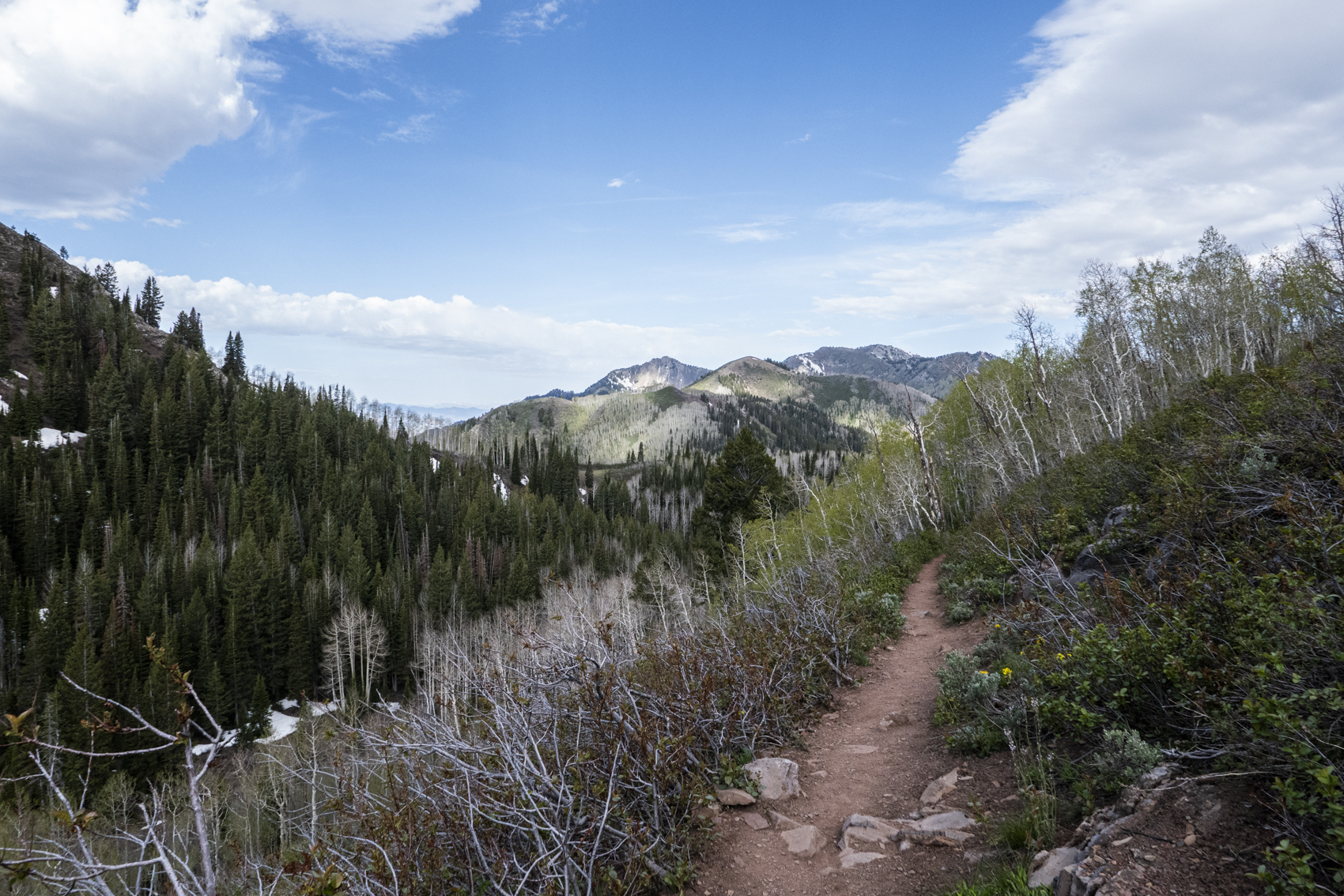 Big Cottonwood Canyon