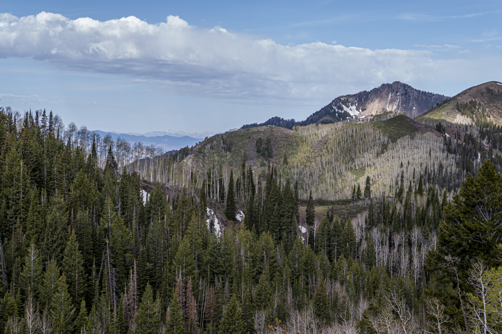 Big Cottonwood Canyon
