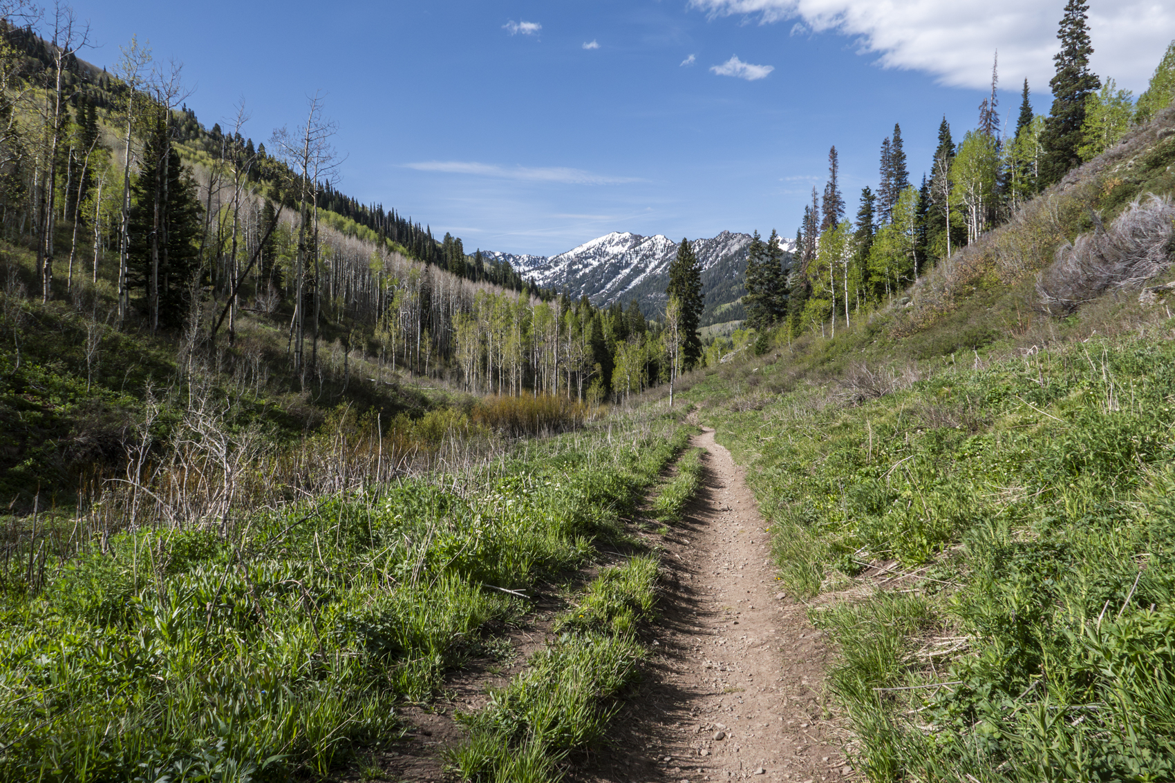 Big Cottonwood Canyon