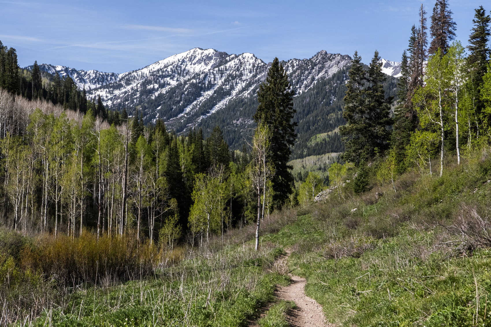 Big Cottonwood Canyon