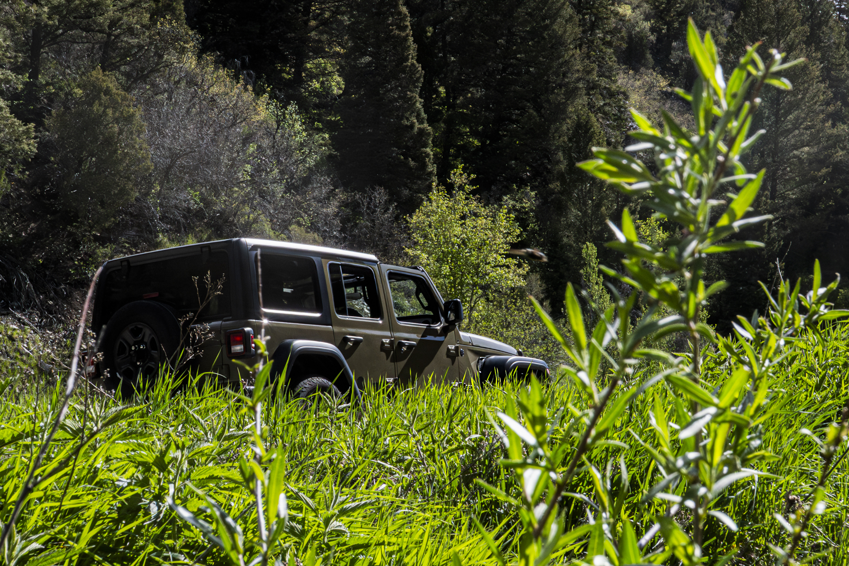 Big Cottonwood Canyon