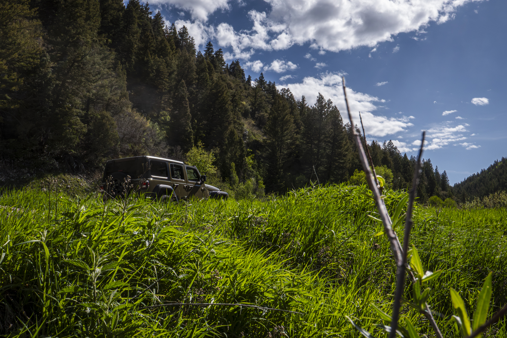 Big Cottonwood Canyon