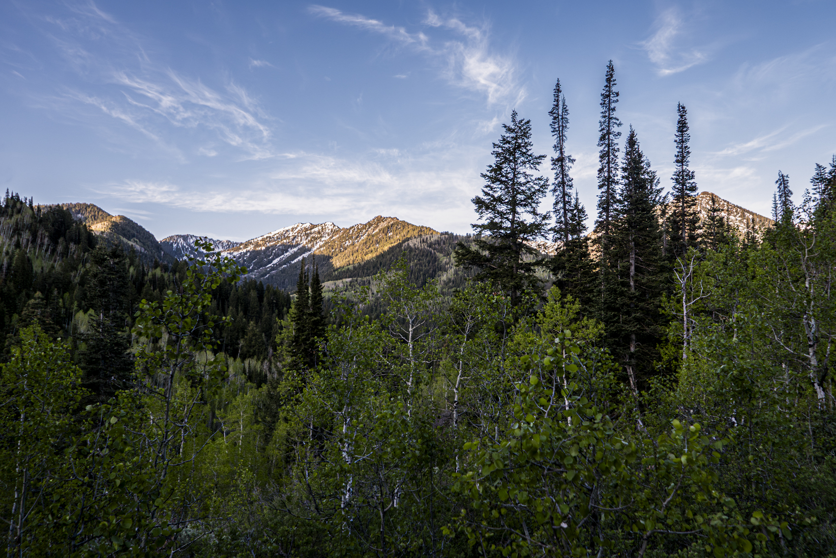 Big Cottonwood Canyon
