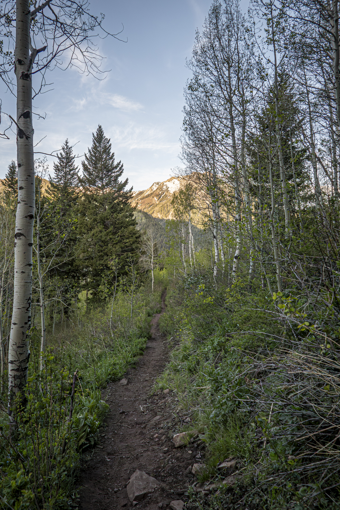 Big Cottonwood Canyon
