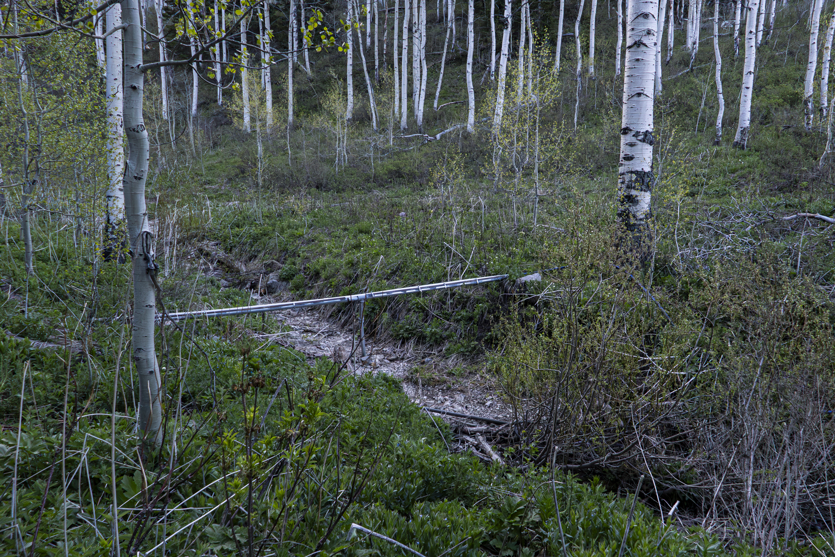 Big Cottonwood Canyon