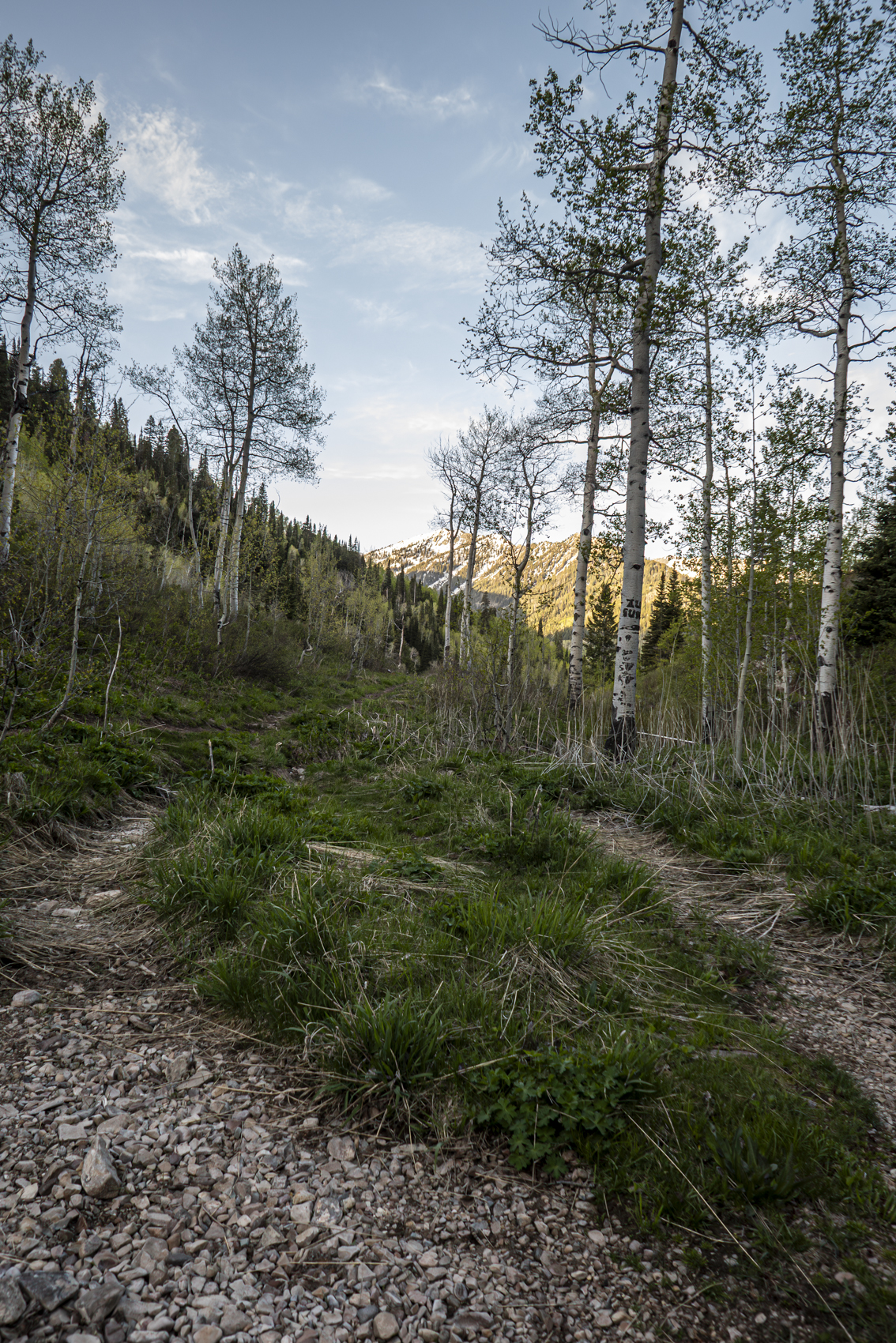 Big Cottonwood Canyon