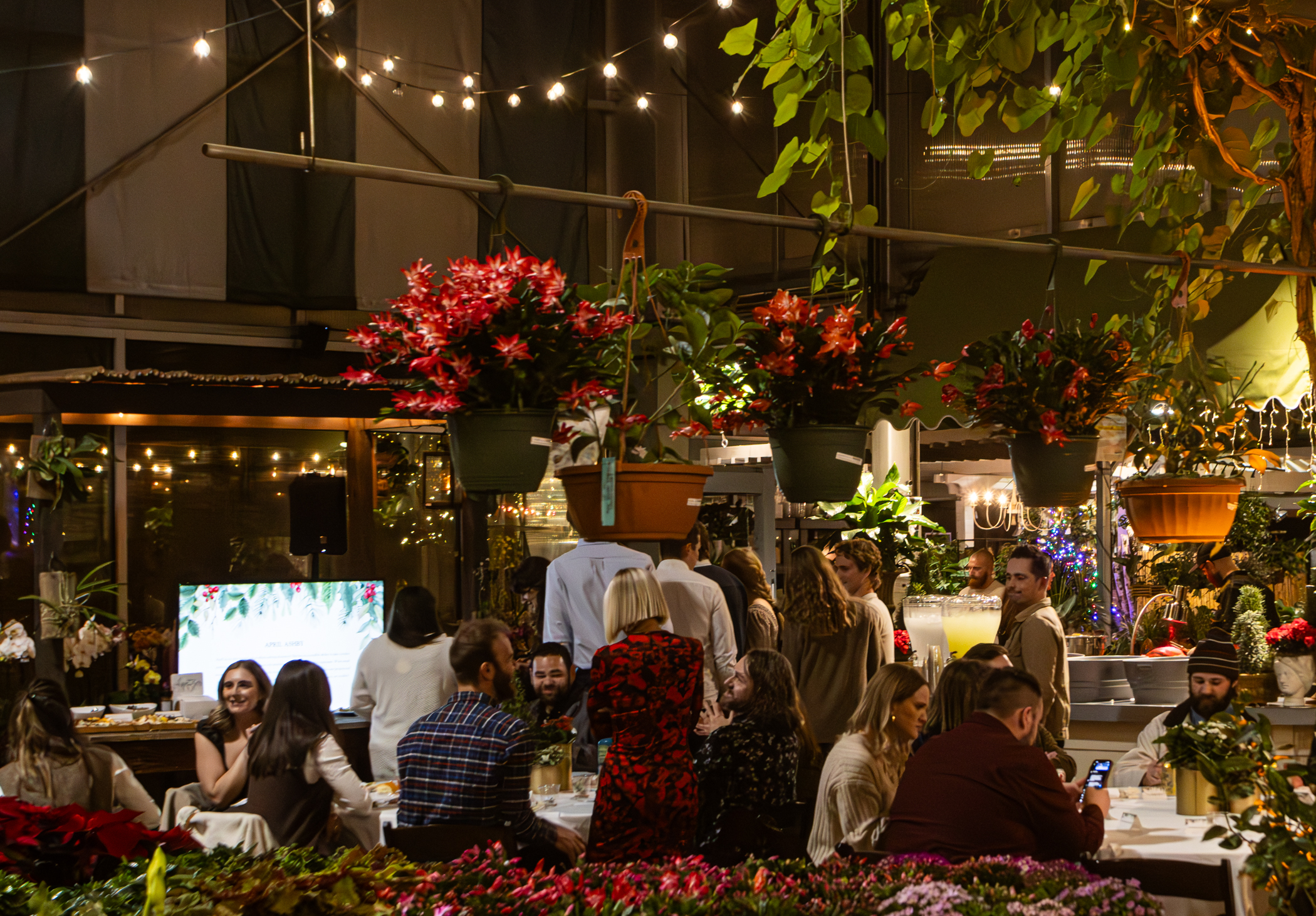 Cactus and Tropicals Events
Draper, Utah
November 20, 2025


DerekBrad.com