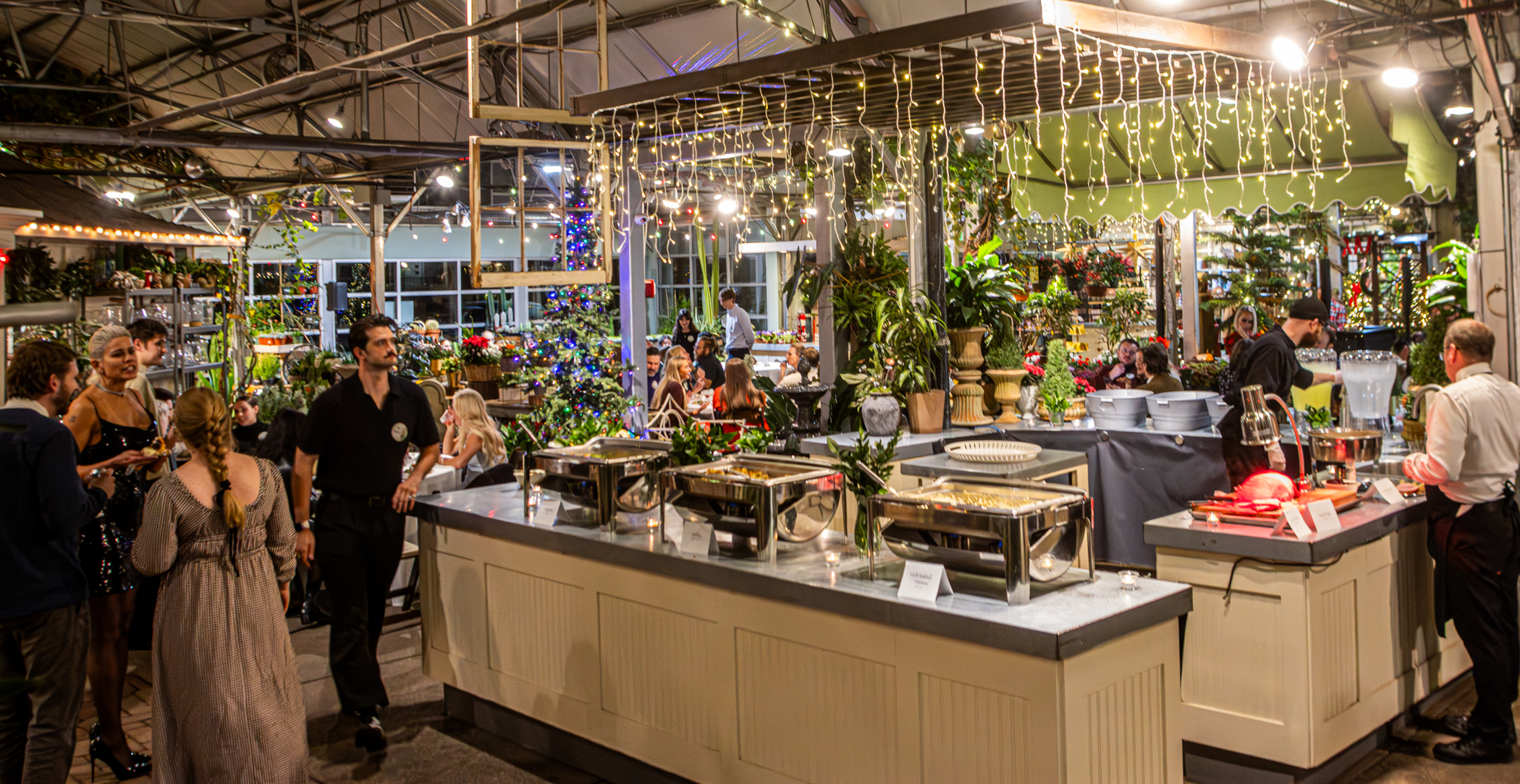 Cactus and Tropicals Events
Draper, Utah
November 20, 2025


DerekBrad.com