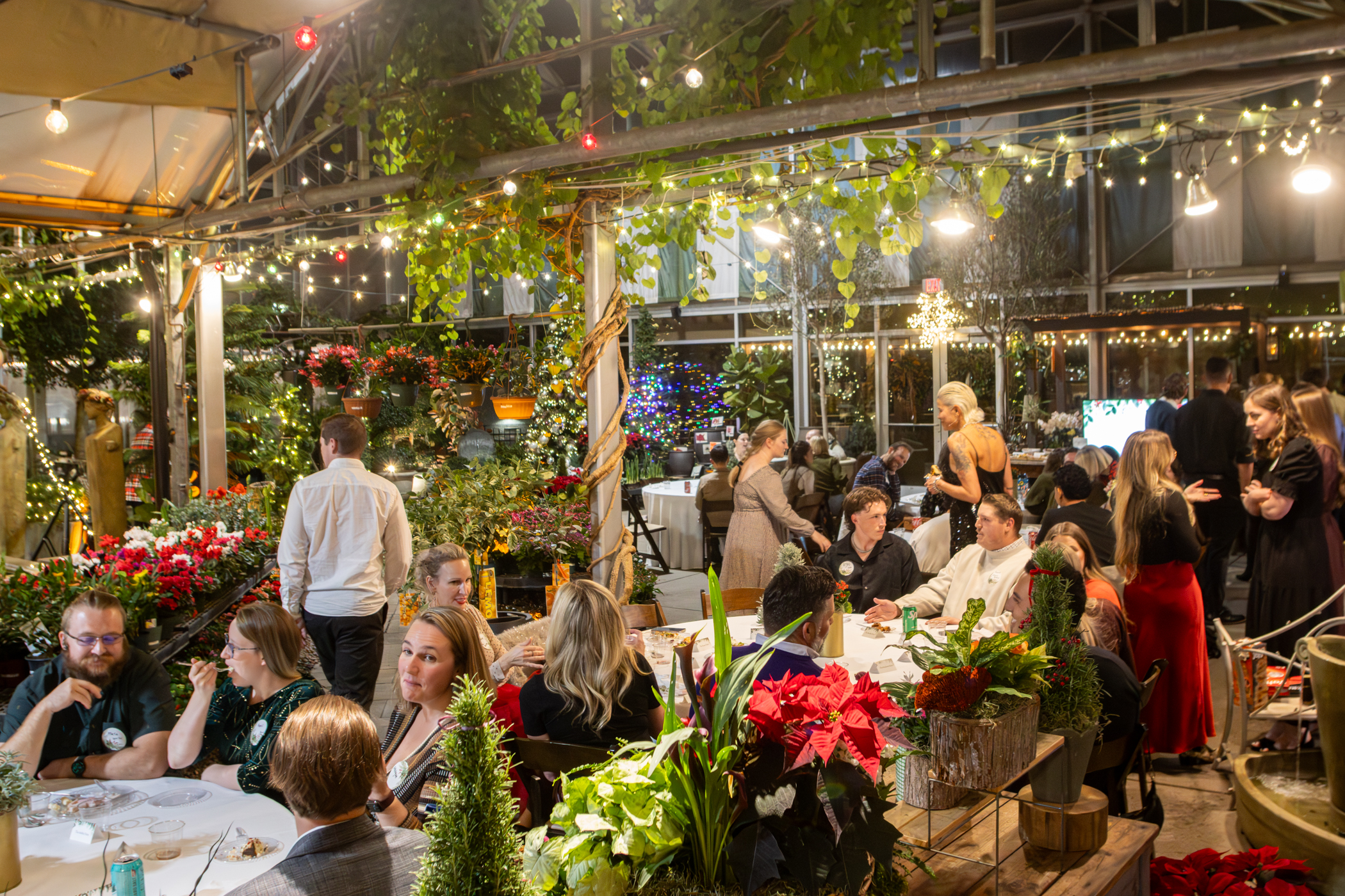 Cactus and Tropicals Events
Draper, Utah
November 20, 2025


DerekBrad.com