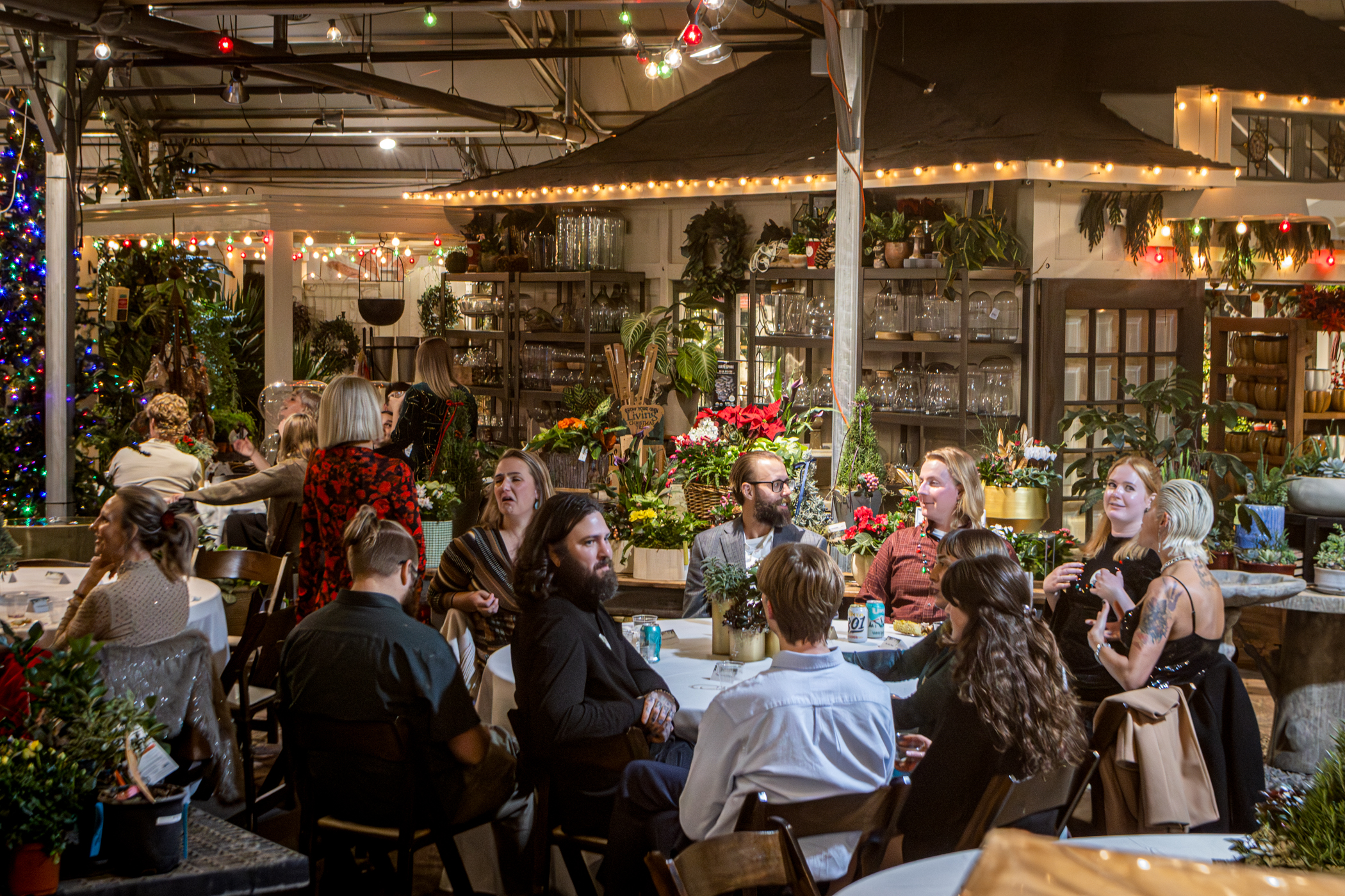 Cactus and Tropicals Events
Draper, Utah
November 20, 2025


DerekBrad.com