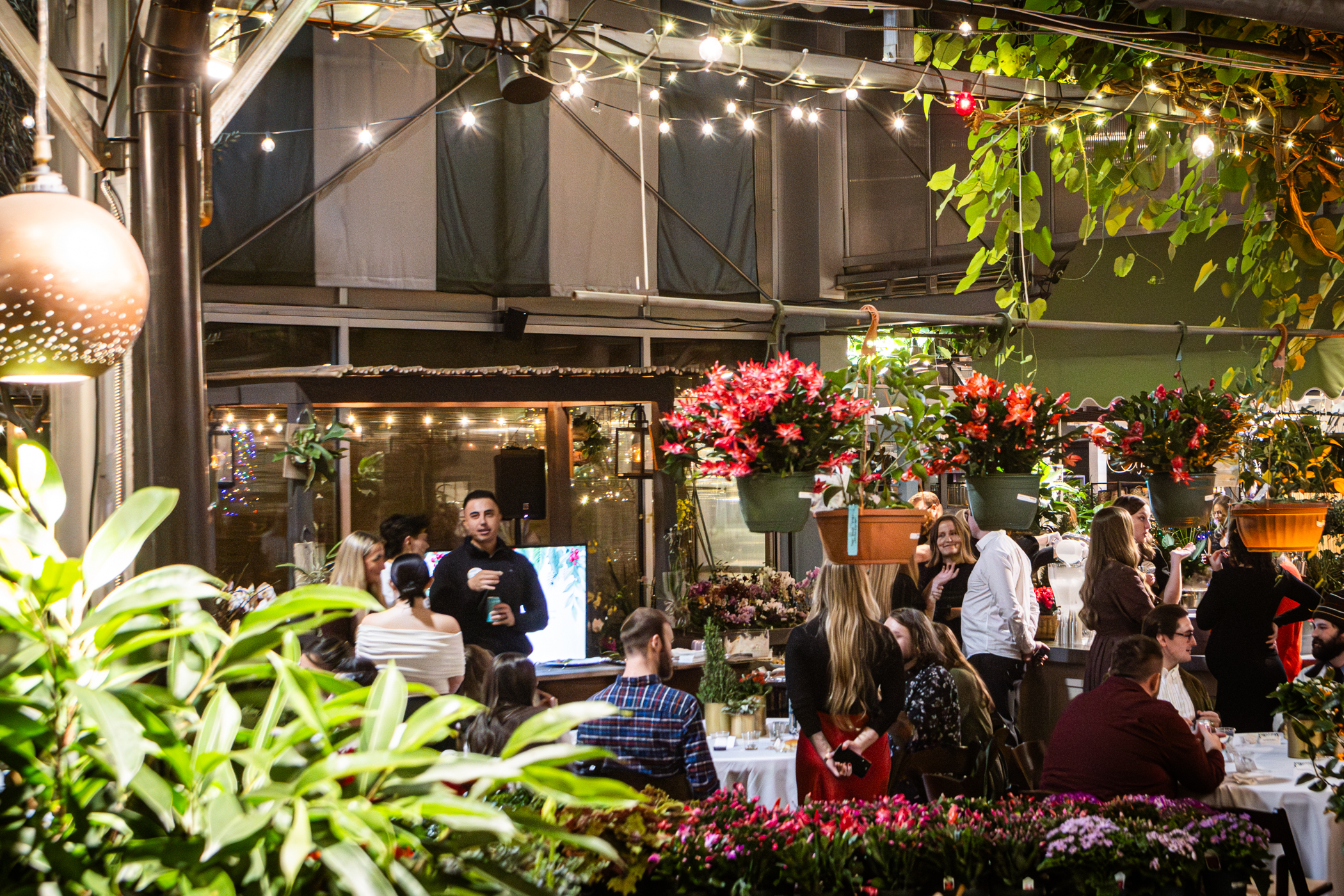 Cactus and Tropicals Events
Draper, Utah
November 20, 2025


DerekBrad.com