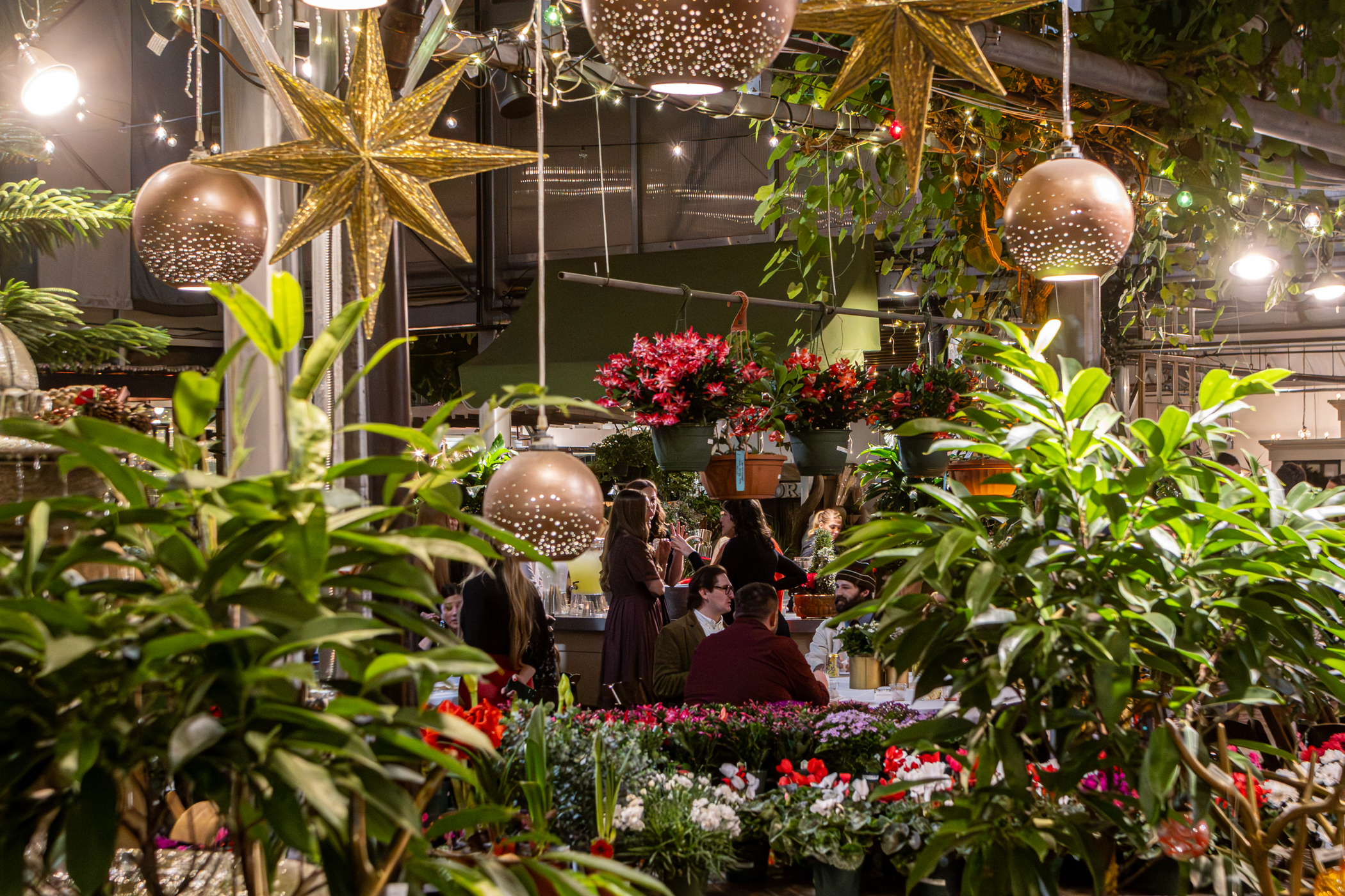 Cactus and Tropicals Events
Draper, Utah
November 20, 2025


DerekBrad.com