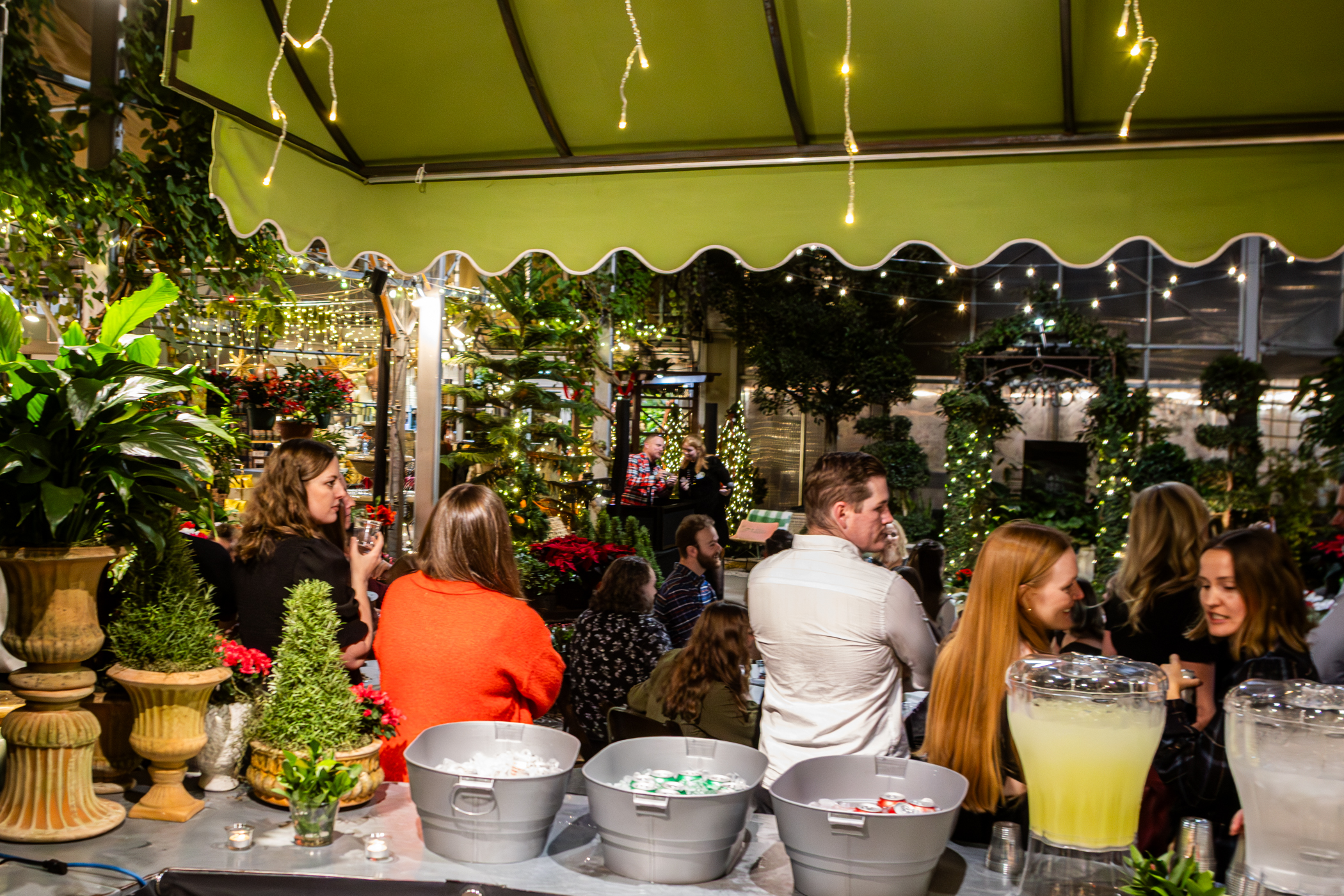 Cactus and Tropicals Events
Draper, Utah
November 20, 2025


DerekBrad.com