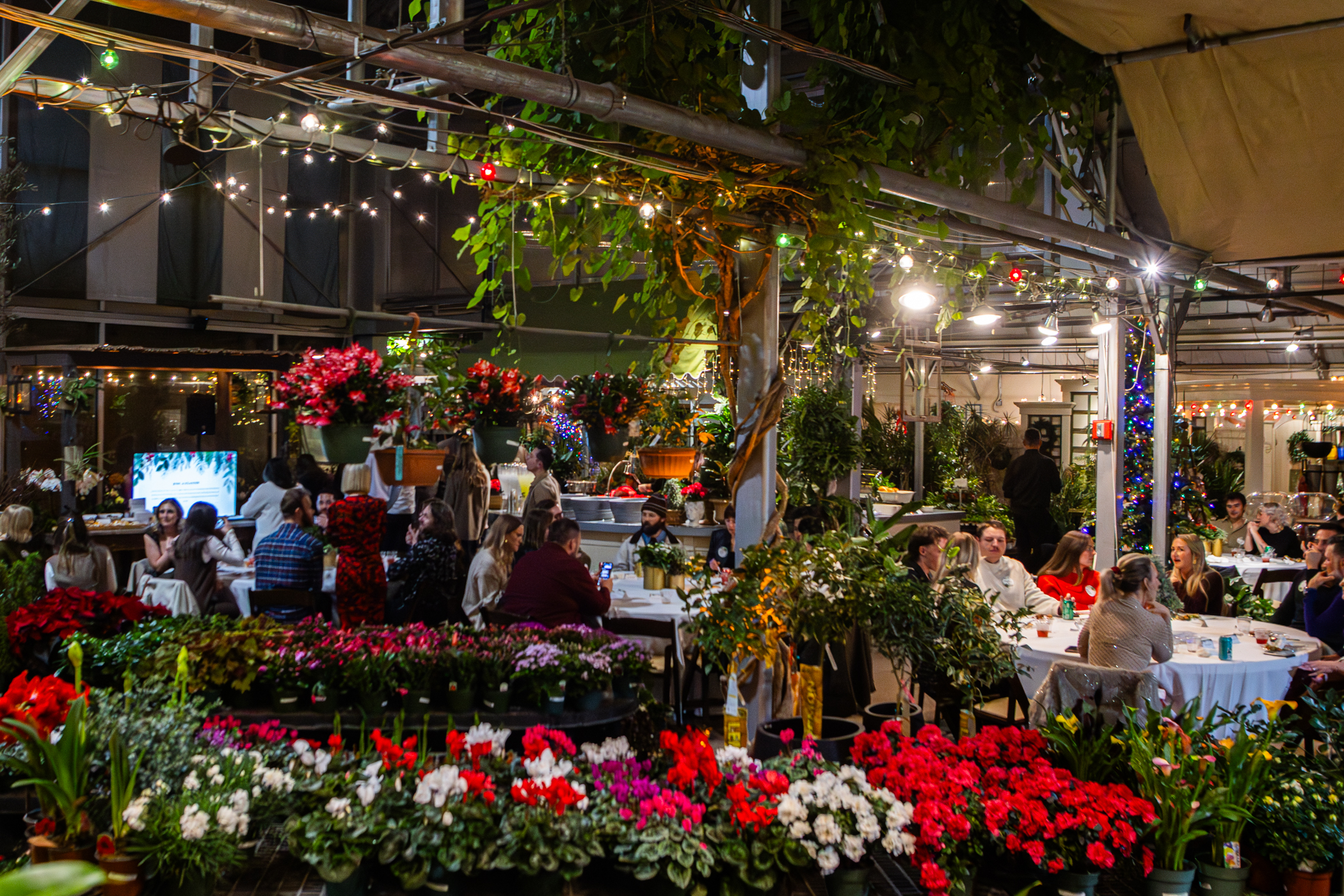 Cactus and Tropicals Events
Draper, Utah
November 20, 2025


DerekBrad.com