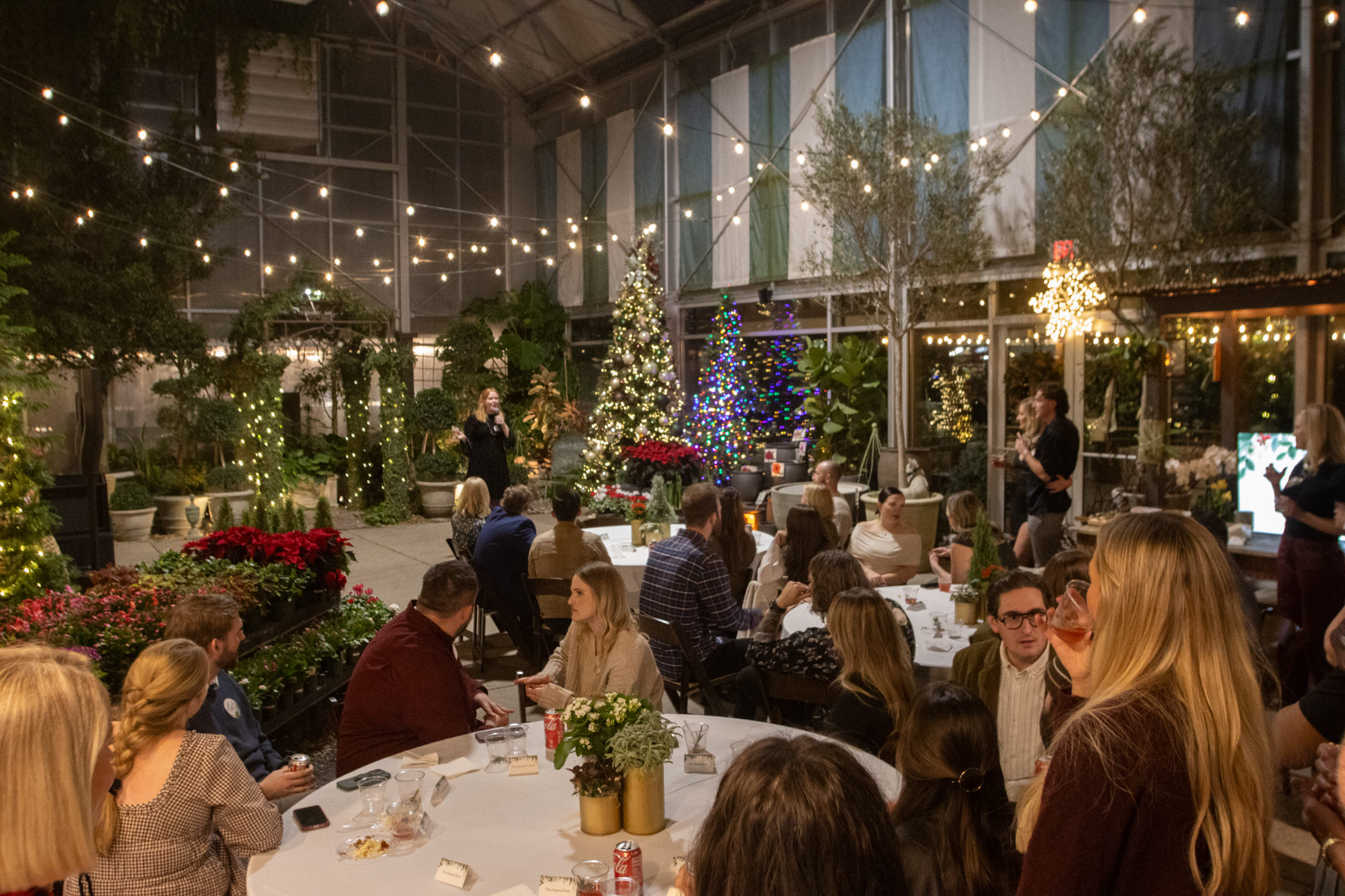 Cactus and Tropicals Events
Draper, Utah
November 20, 2025


DerekBrad.com