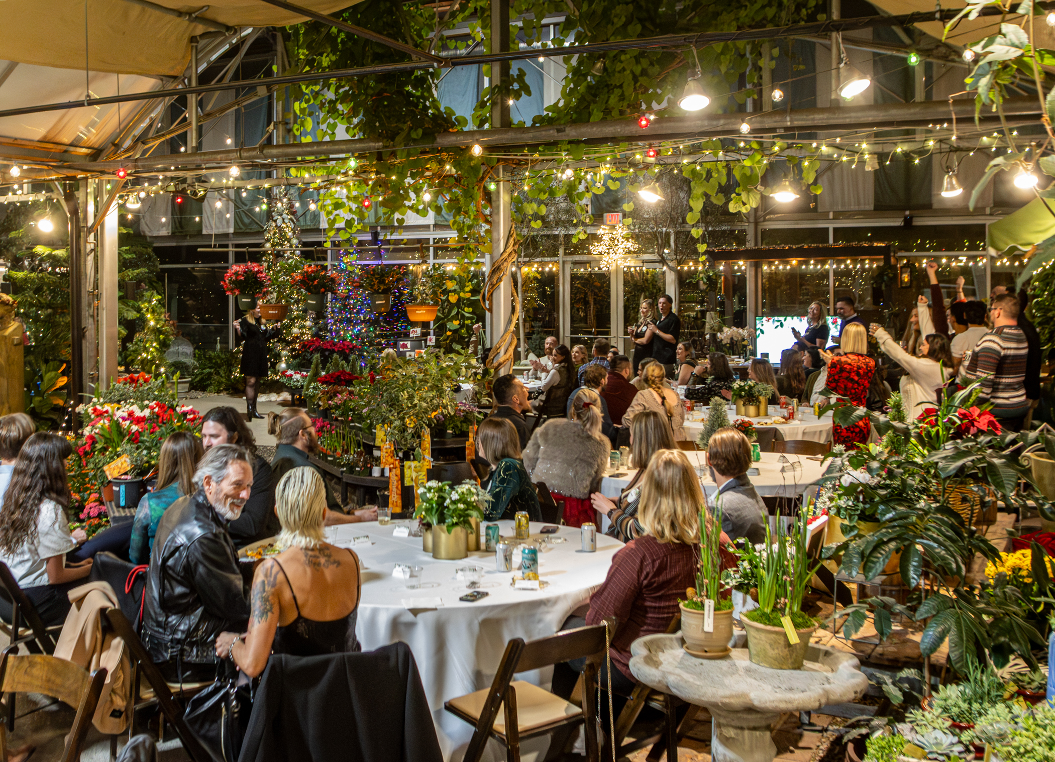 Cactus and Tropicals Events
Draper, Utah
November 20, 2025


DerekBrad.com