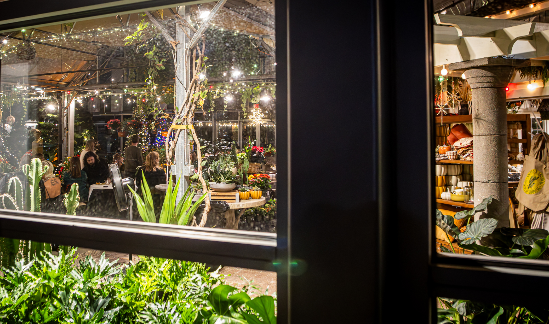 Cactus and Tropicals Events
Draper, Utah
November 20, 2025


DerekBrad.com