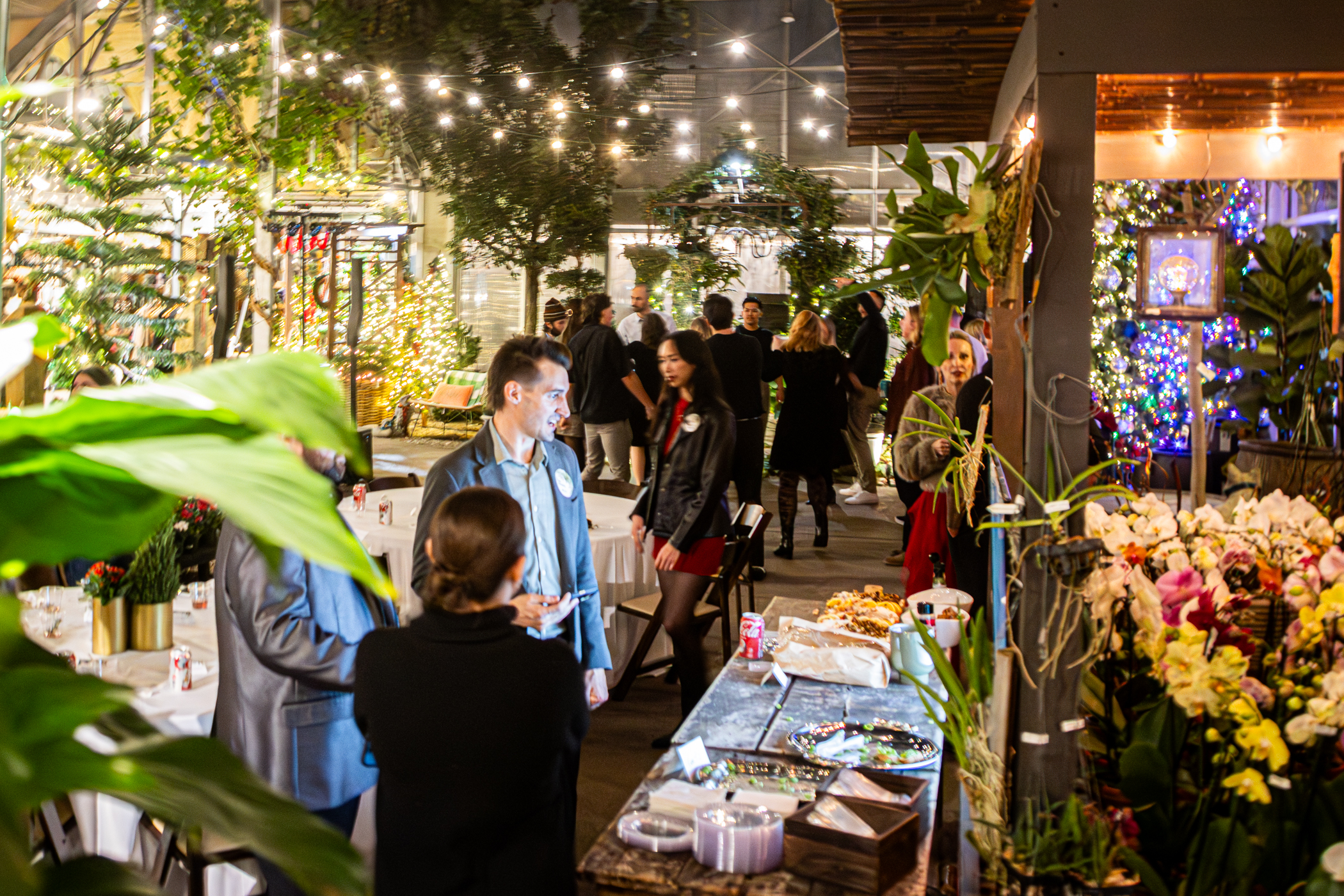 Cactus and Tropicals Events
Draper, Utah
November 20, 2025


DerekBrad.com