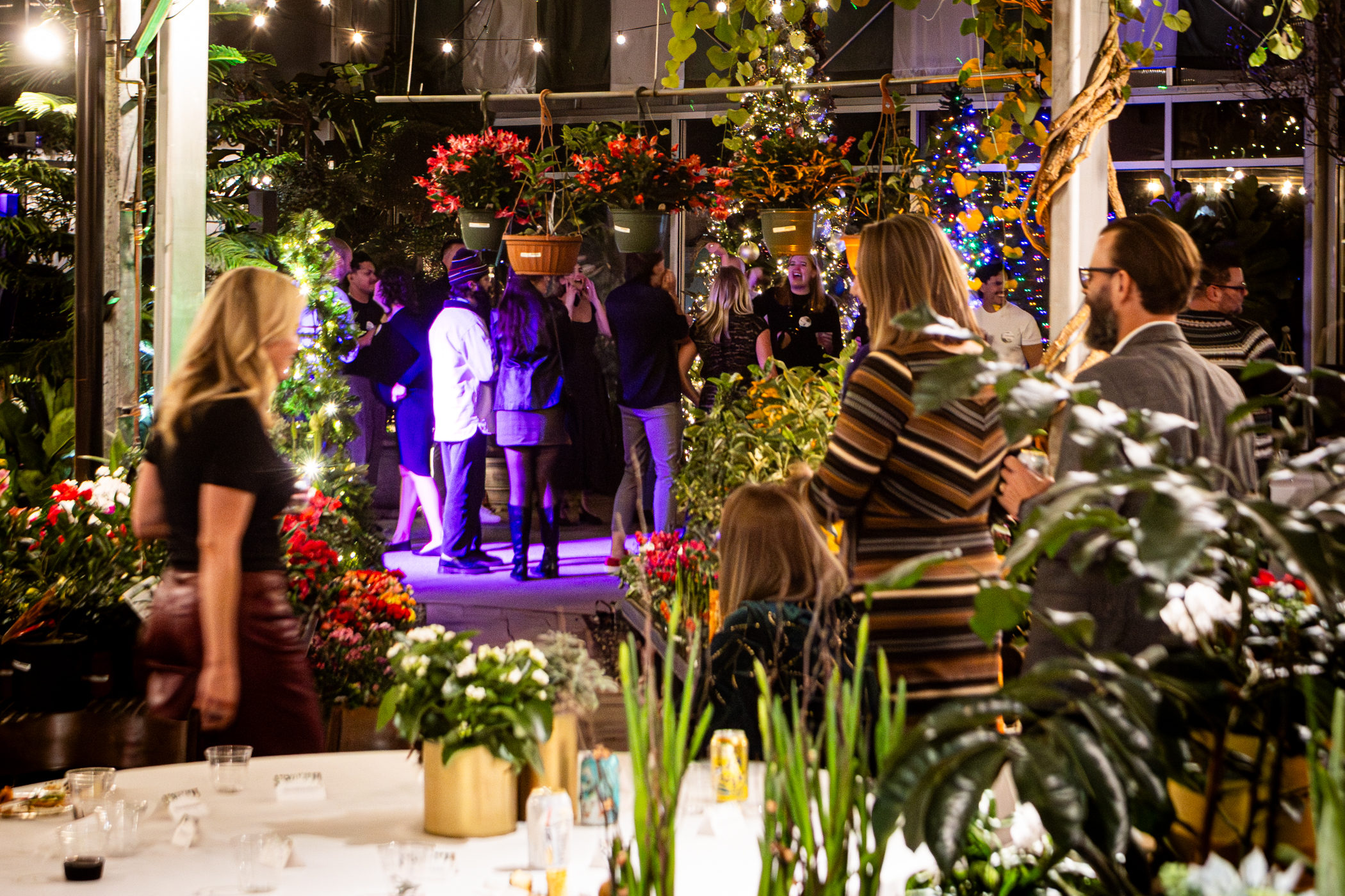 Cactus and Tropicals Events
Draper, Utah
November 20, 2025


DerekBrad.com