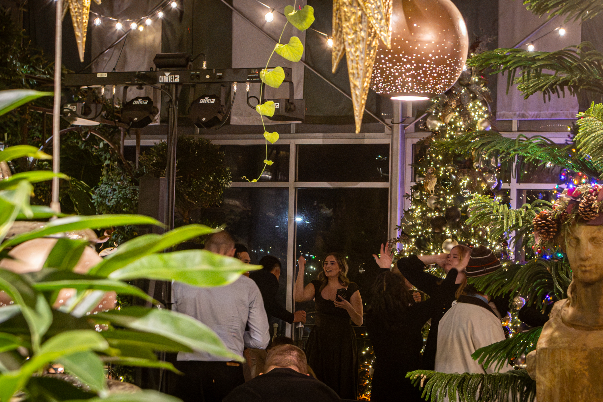 Cactus and Tropicals Events
Draper, Utah
November 20, 2025


DerekBrad.com