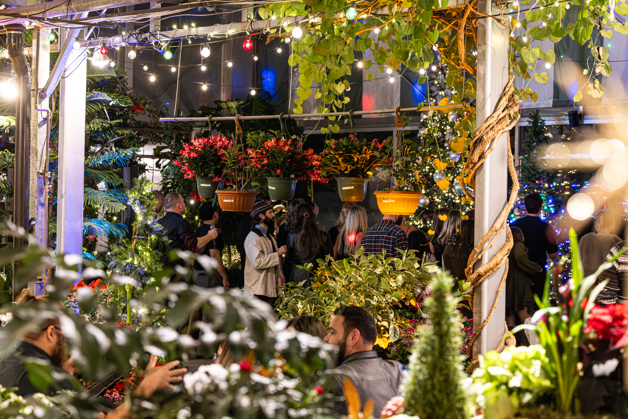 Cactus and Tropicals Events
Draper, Utah
November 20, 2025


DerekBrad.com