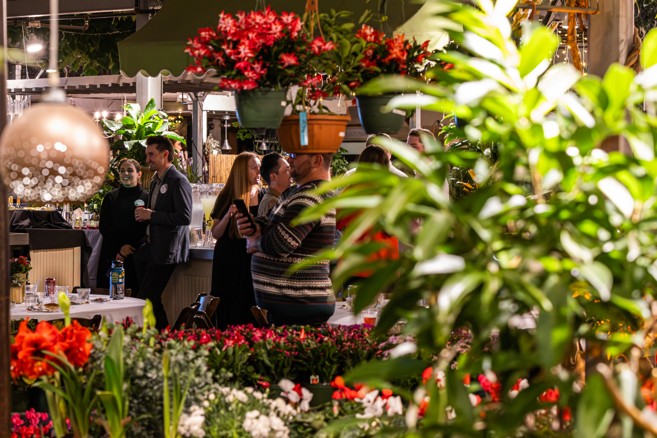 Cactus and Tropicals Events
Draper, Utah
November 20, 2025


DerekBrad.com