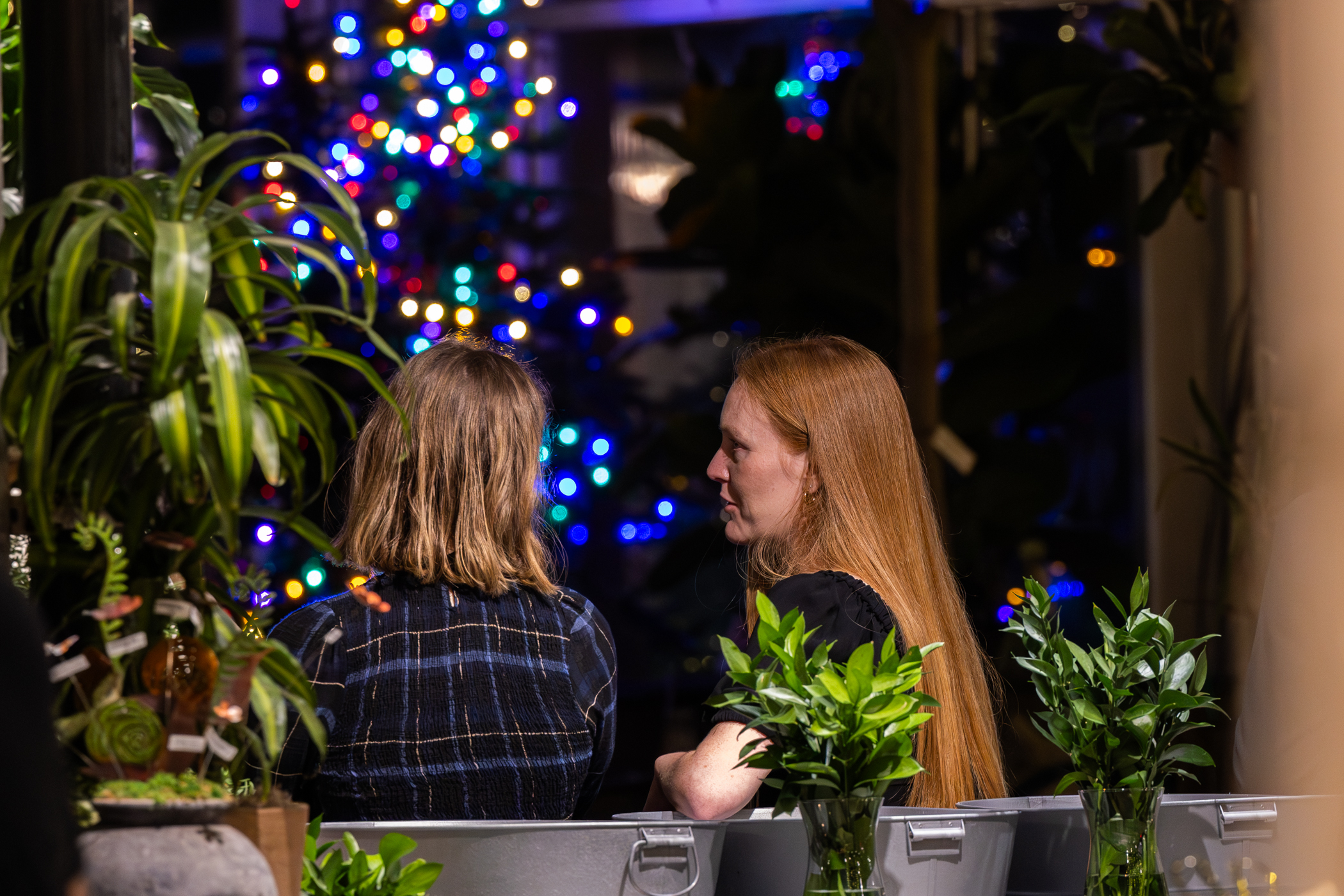 Cactus and Tropicals Events
Draper, Utah
November 20, 2025


DerekBrad.com