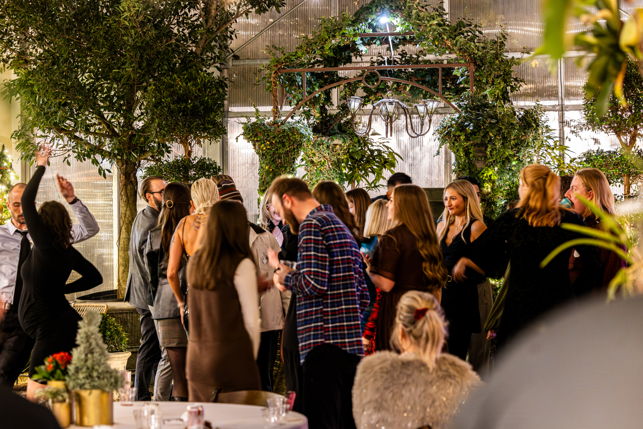 Cactus and Tropicals Events
Draper, Utah
November 20, 2025


DerekBrad.com