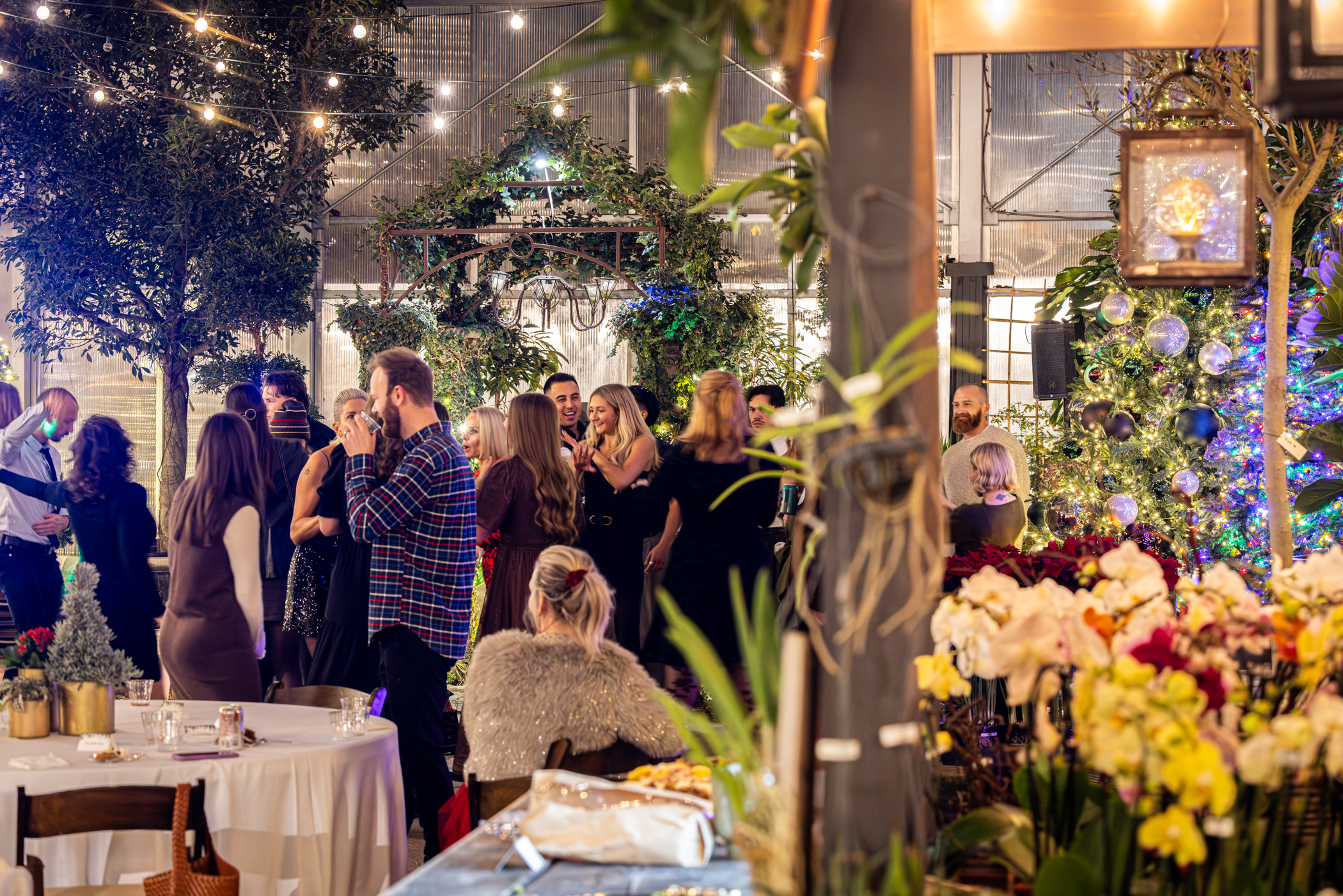 Cactus and Tropicals Events
Draper, Utah
November 20, 2025


DerekBrad.com