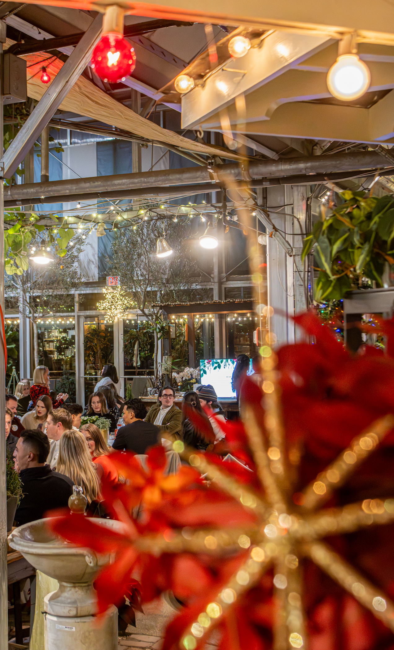 Cactus and Tropicals Events
Draper, Utah
November 20, 2025


DerekBrad.com