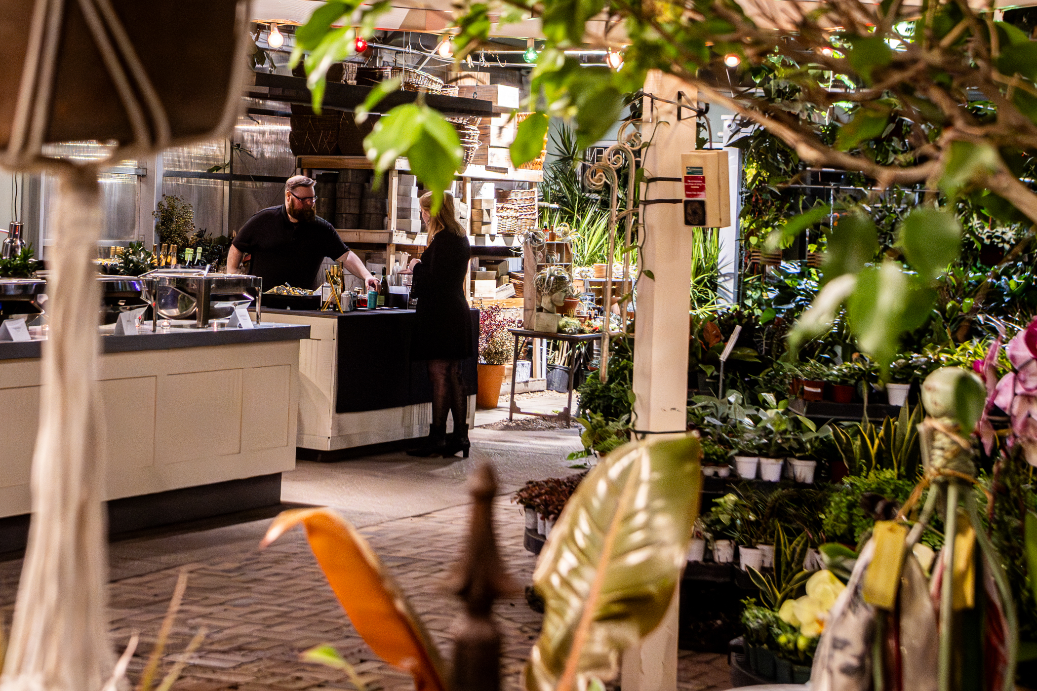 Cactus and Tropicals Events
Draper, Utah
November 20, 2025


DerekBrad.com