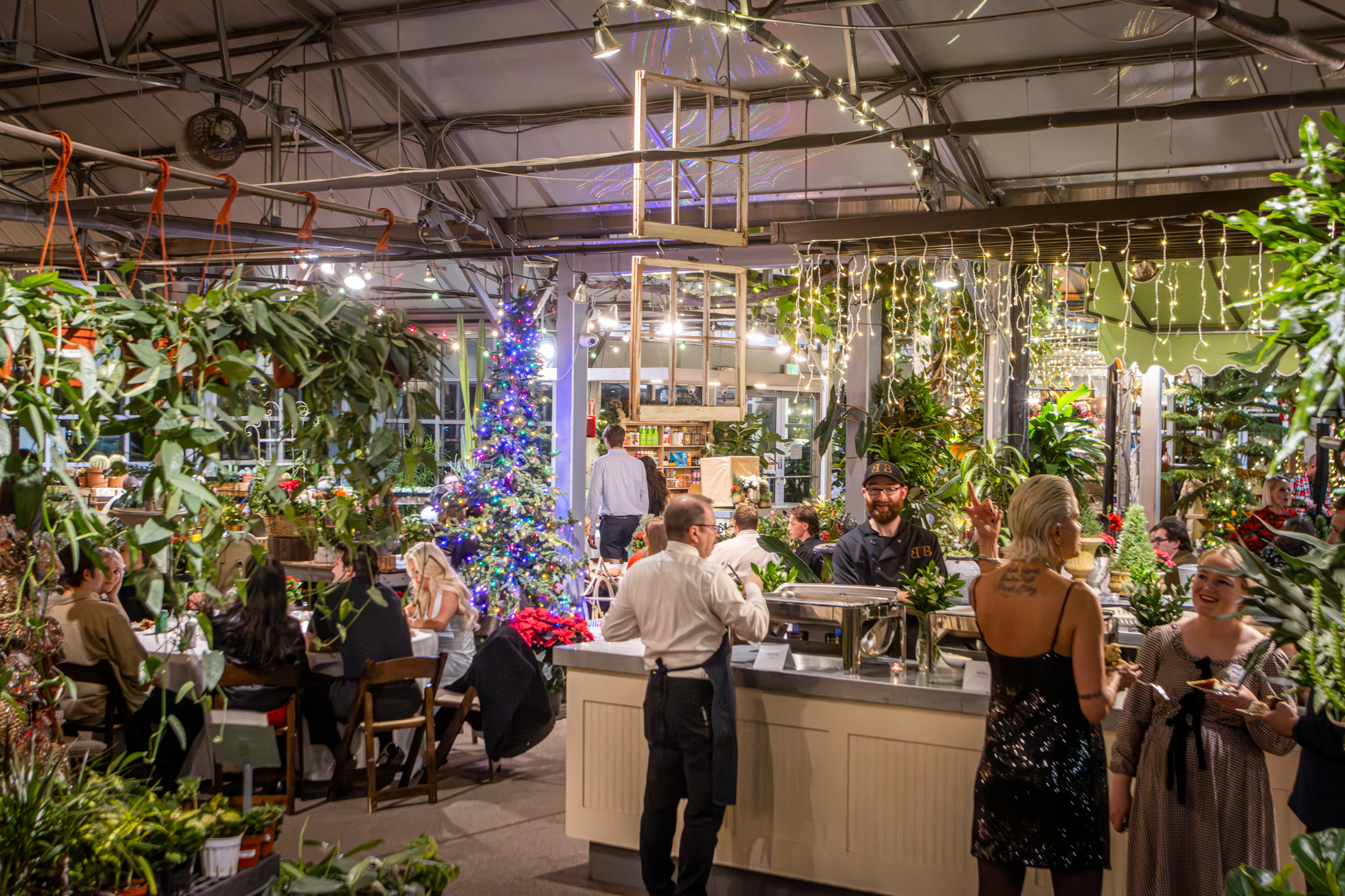 Cactus and Tropicals Events
Draper, Utah
November 20, 2025


DerekBrad.com