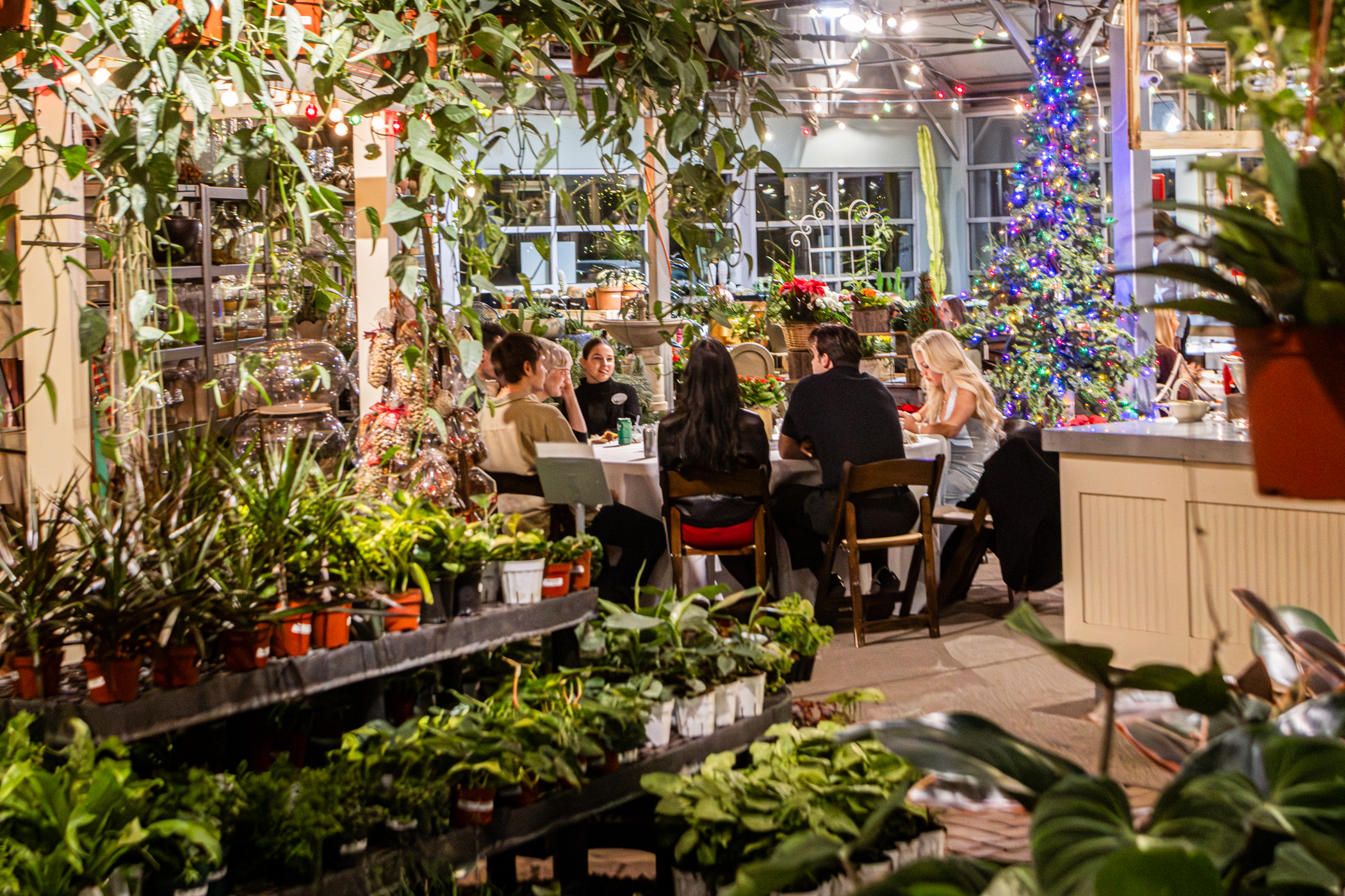 Cactus and Tropicals Events
Draper, Utah
November 20, 2025


DerekBrad.com