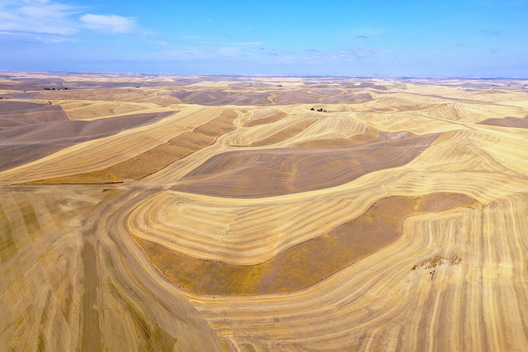 Whitman County, Washington