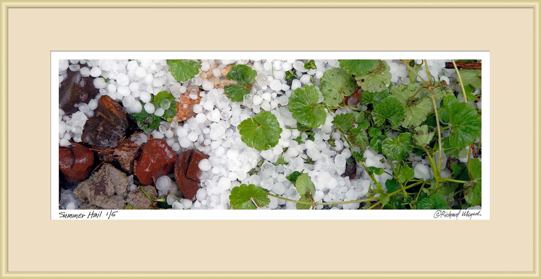 Summer-Hail-Framed