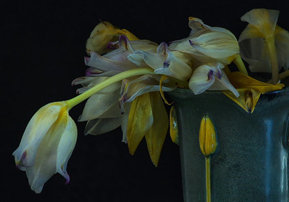Botanical still life