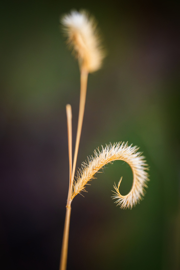 Landscapes of Big Bend National park taken by Jay Brittain photography