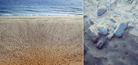 Cape Cod National Seashore, MA / Salt River, AZ