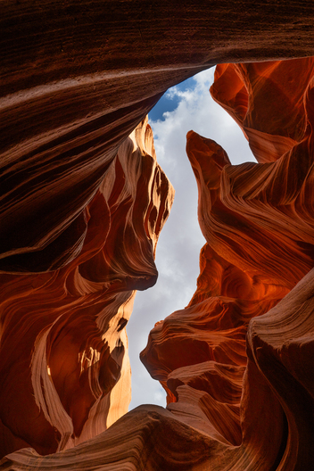 Nature and conservation photography from Jay Brittain