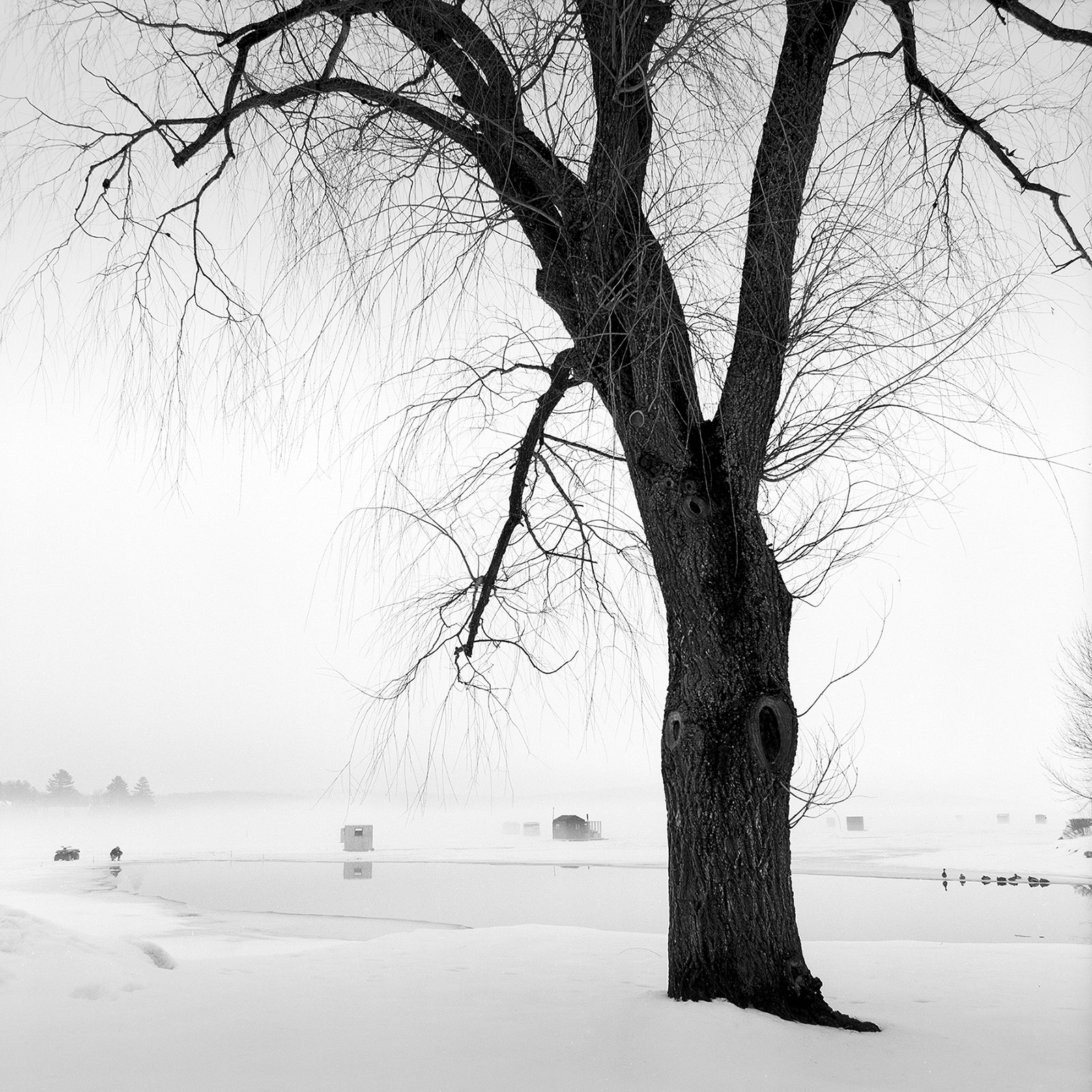 iceout2