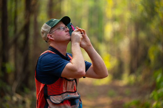 Jay Brittain photography. Forest photography. Photographs of forest management. Forest Management. Photographs of the forest industry. photographs of foresters at work.